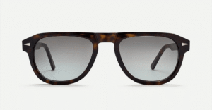 Carrousel Dark Turtle