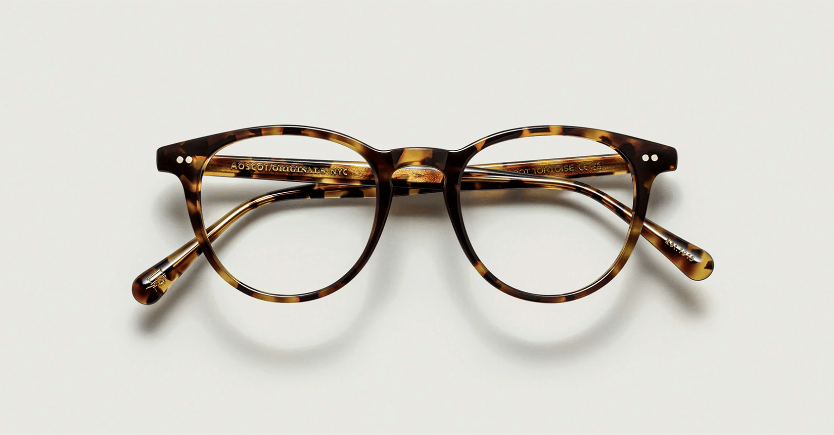 Jared Spot Tortoise